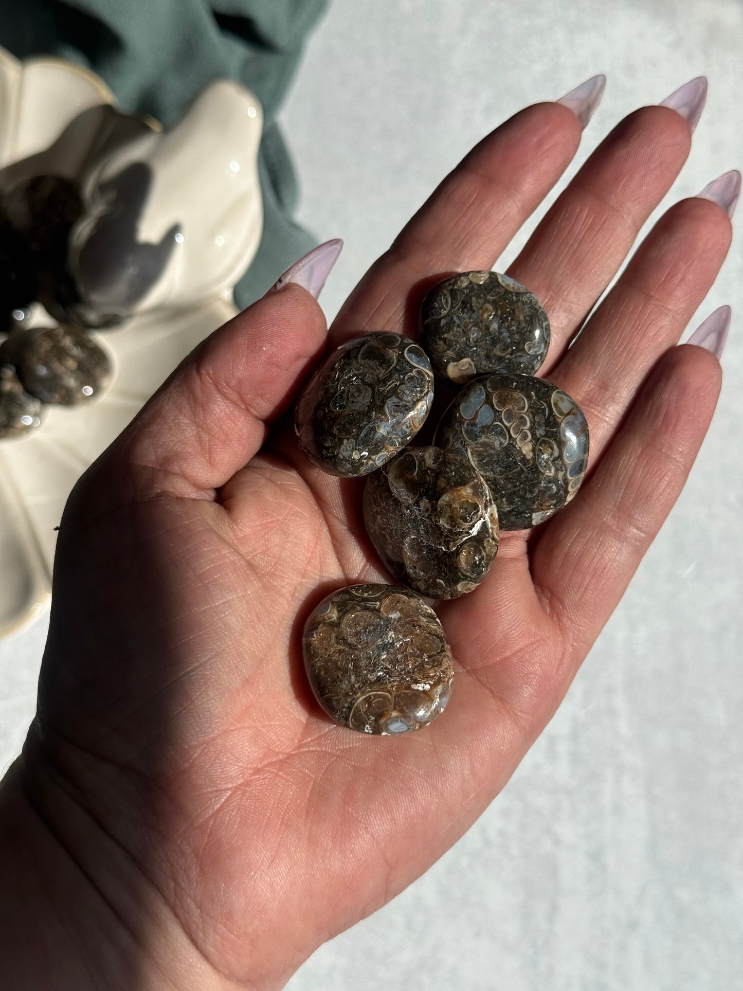Tourtella Jasper Mini Palmstone